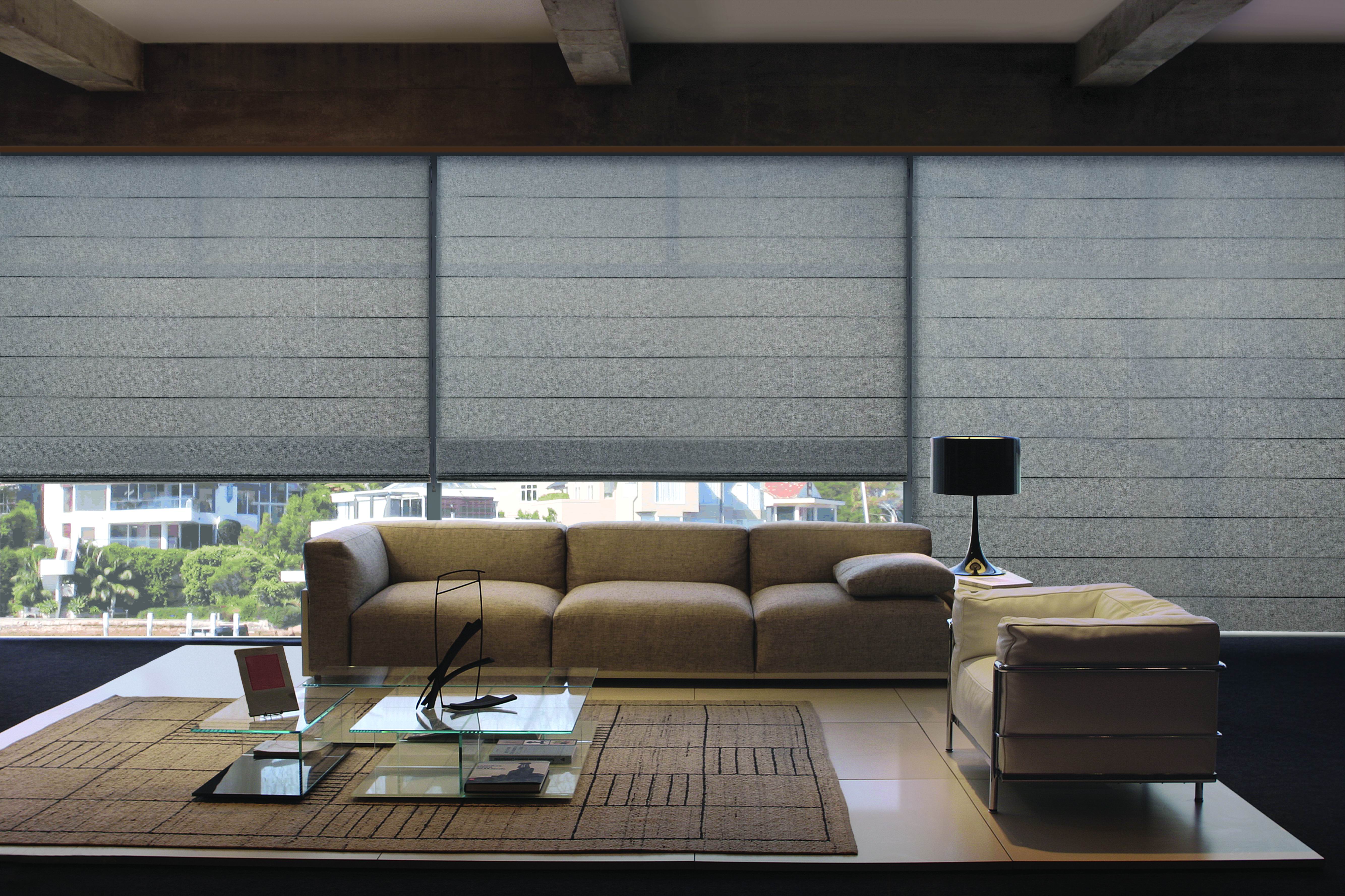 Contemporary Roman Blinds in Translucent Fabric.Jpeg